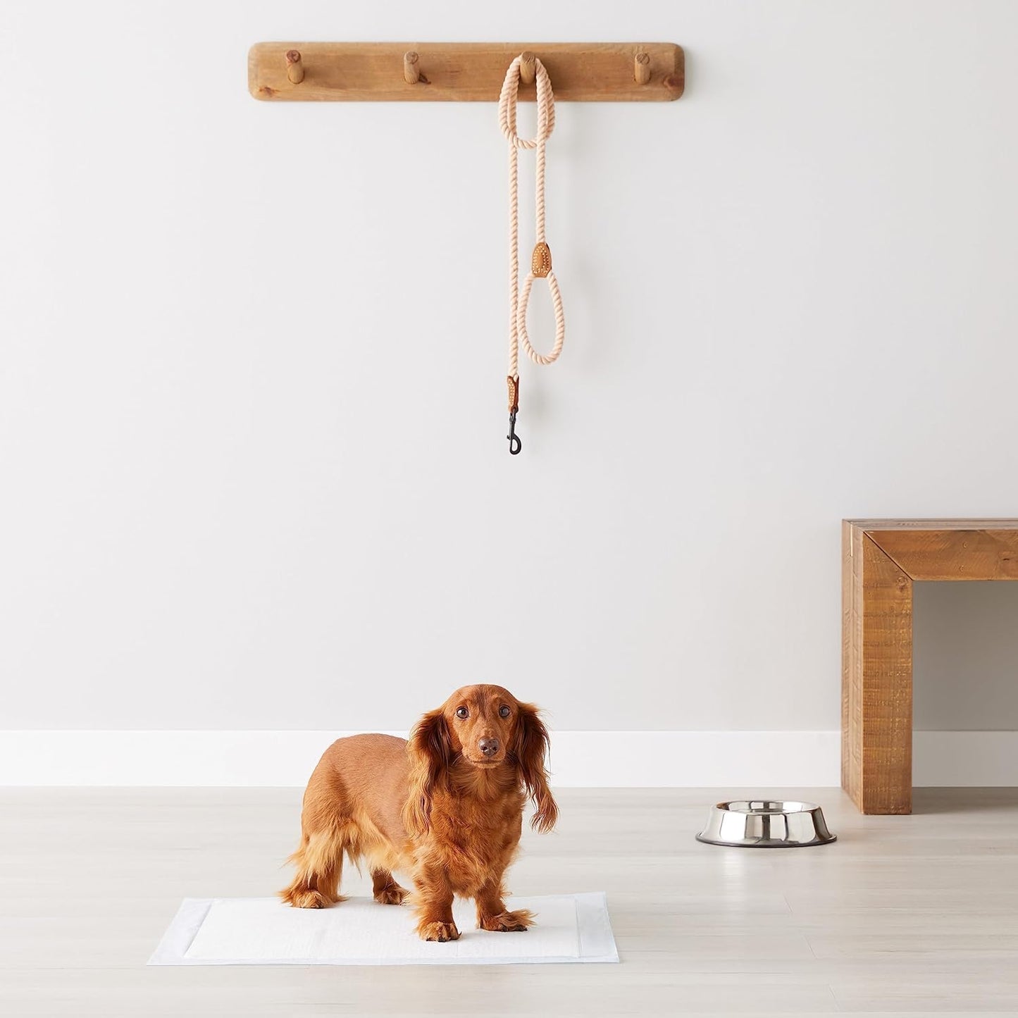 Leak-Proof Puppy Pee Pads – Quick-Dry, 22"x22", 100-Pack for Potty Training