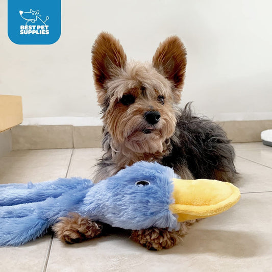 Why Every Pet Parent Needs a Crinkle Duck Dog Toy for Their Furry Friend 🦆🐶